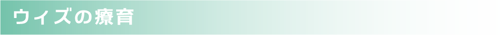 ウィズの療育